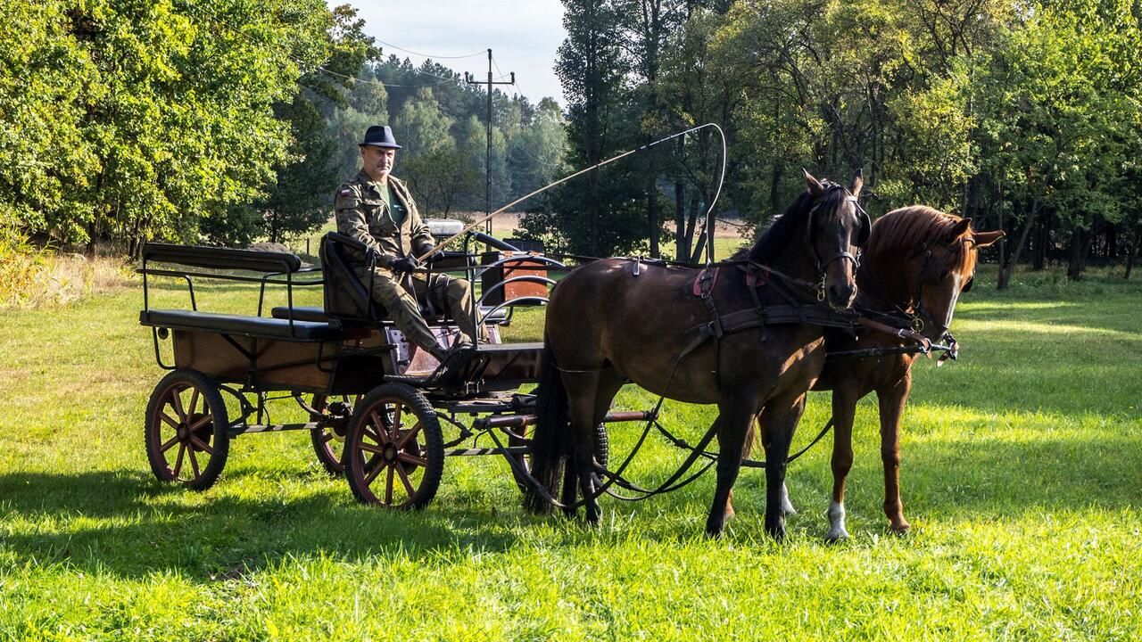 Фермерские дома W Pamiętniku Zatom Nowy-28